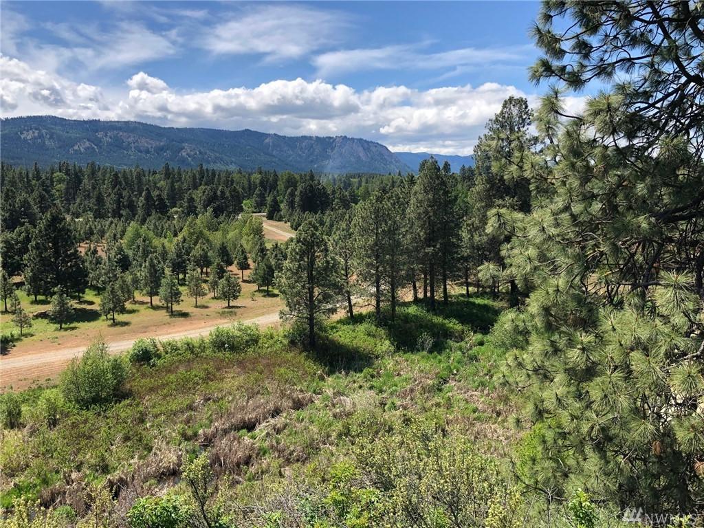 3581 Hwy 970 (Lot 2) - Photo 1