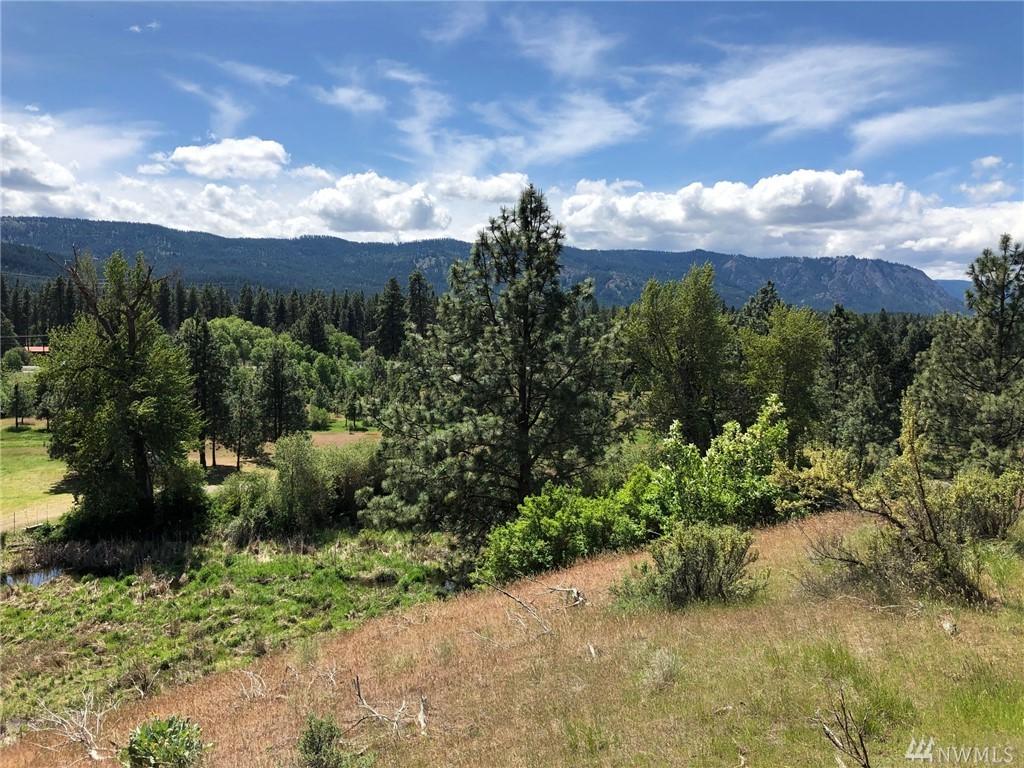 3581 Hwy 970 (Lot 3) - Photo 1