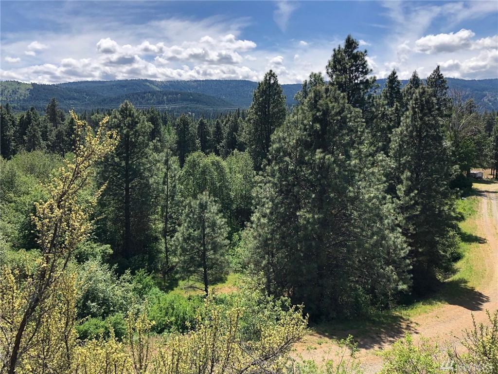 3581 Hwy 970 (Lot 4) - Photo 1