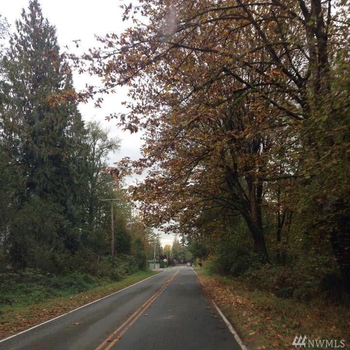 38111 Enumclaw Franklin Rd - Photo 1