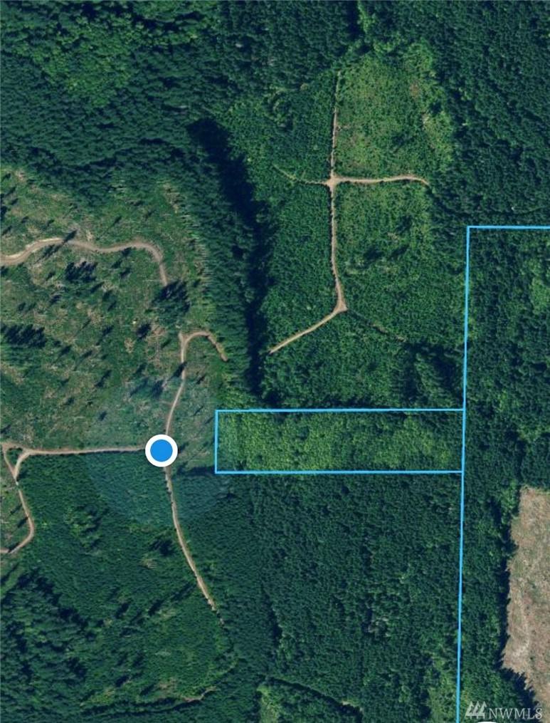 9999 Teal Lake - Photo 1