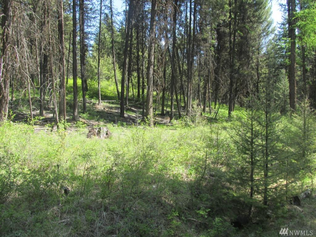 0-TBD Bamber Crk Rd - Photo 1