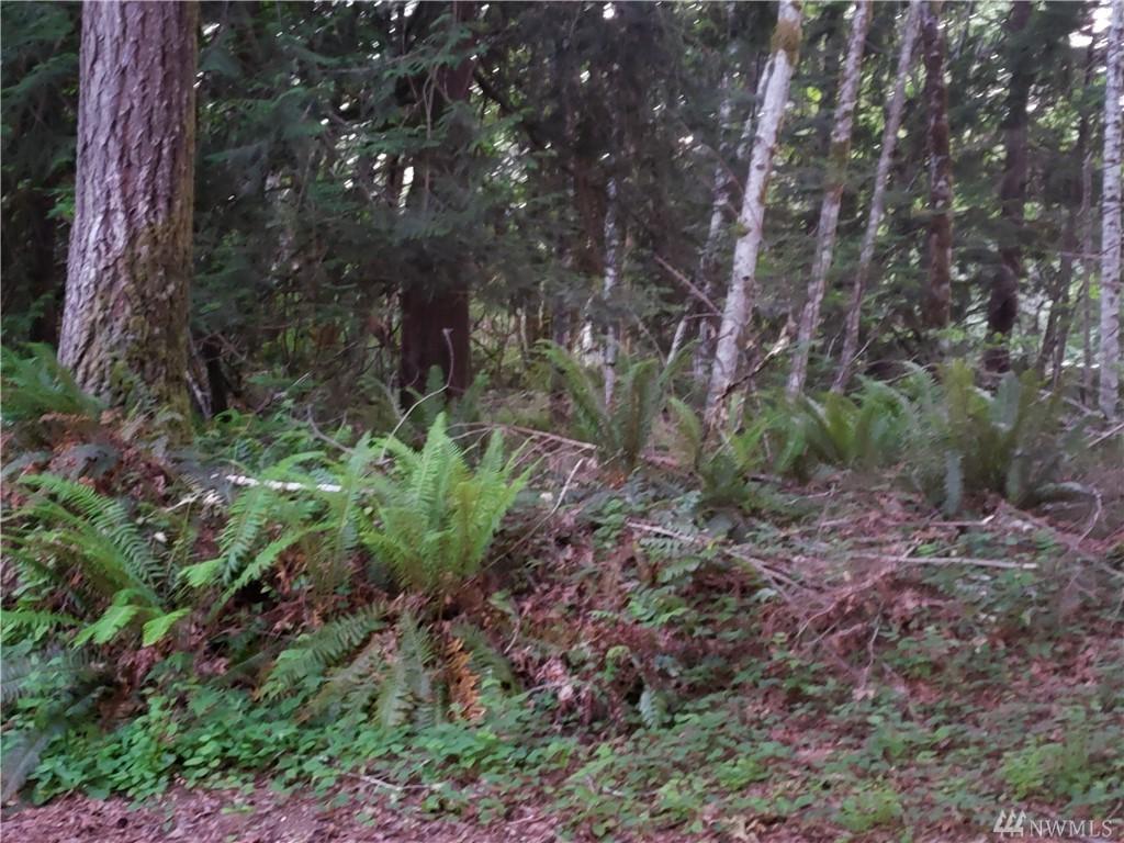 51 Ford Hill Rd - Photo 1