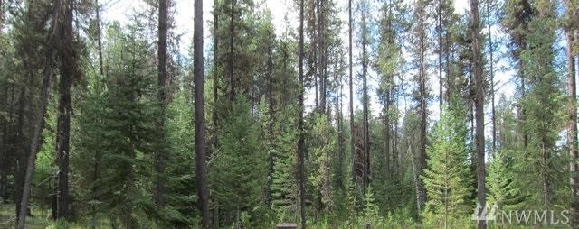 0 Bia Rd 77 (200 Ac) - Photo 1