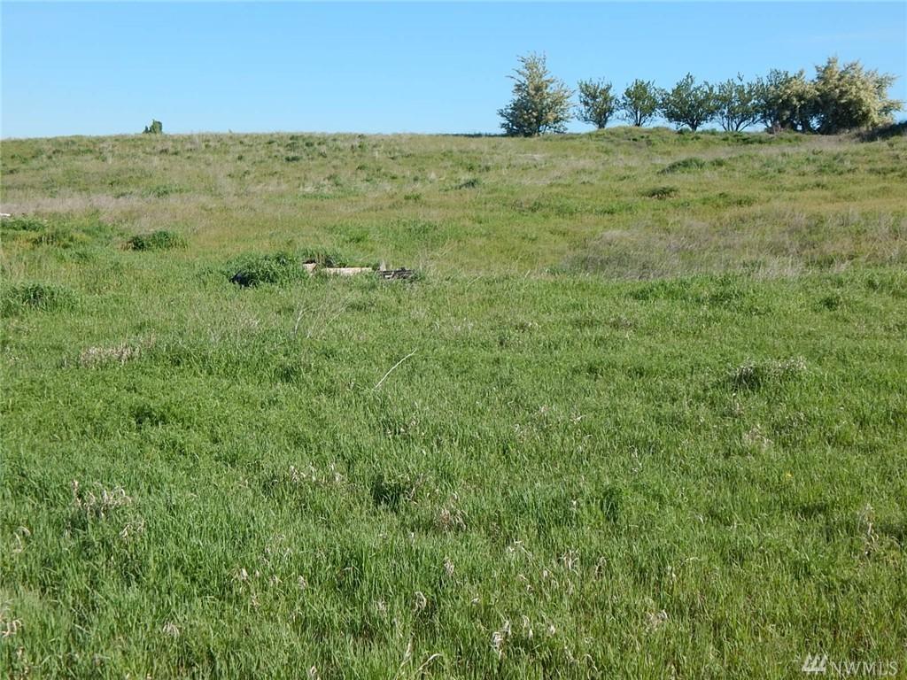 0-Lot 10 Ross St - Photo 1