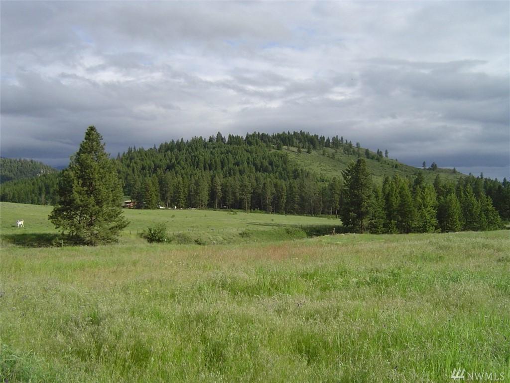 0-TBD Tonasket Cr. Rd - Photo 1