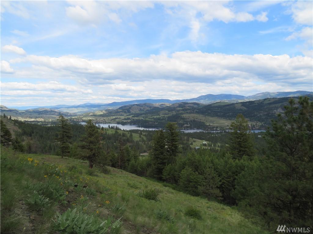 0-Lot 33 Livingstone Lane - Photo 1