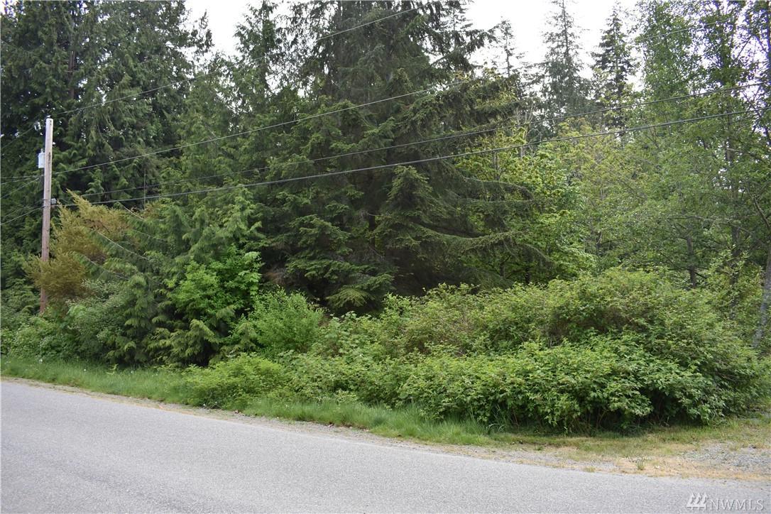 0-Lot 11 Poplar Lane - Photo 1