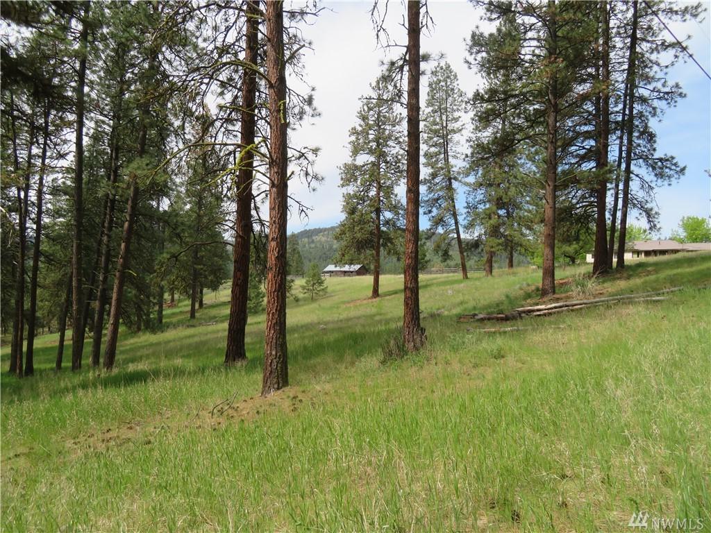 0-TBD Leo Gaffney Blvd - Photo 1