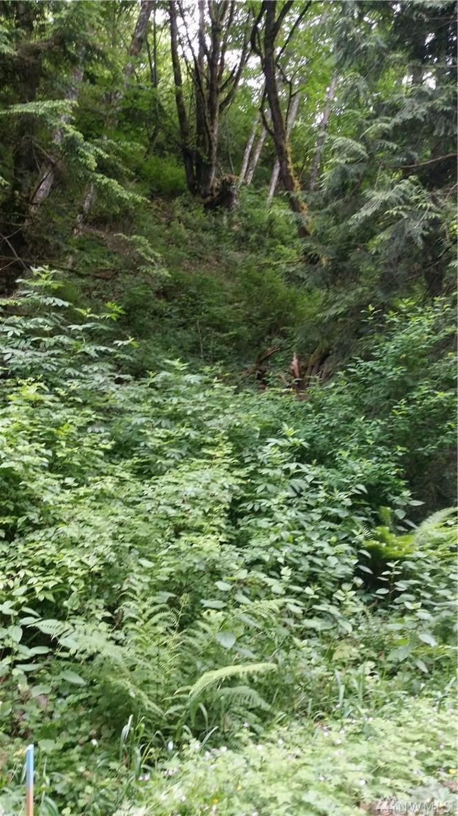 0 68Xx Norma Beach Road - Photo 1