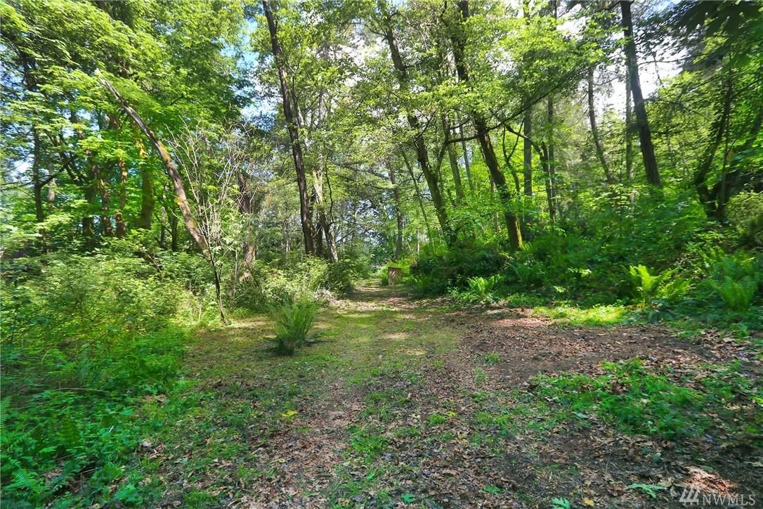 215-XX 135th Ave - Photo 1
