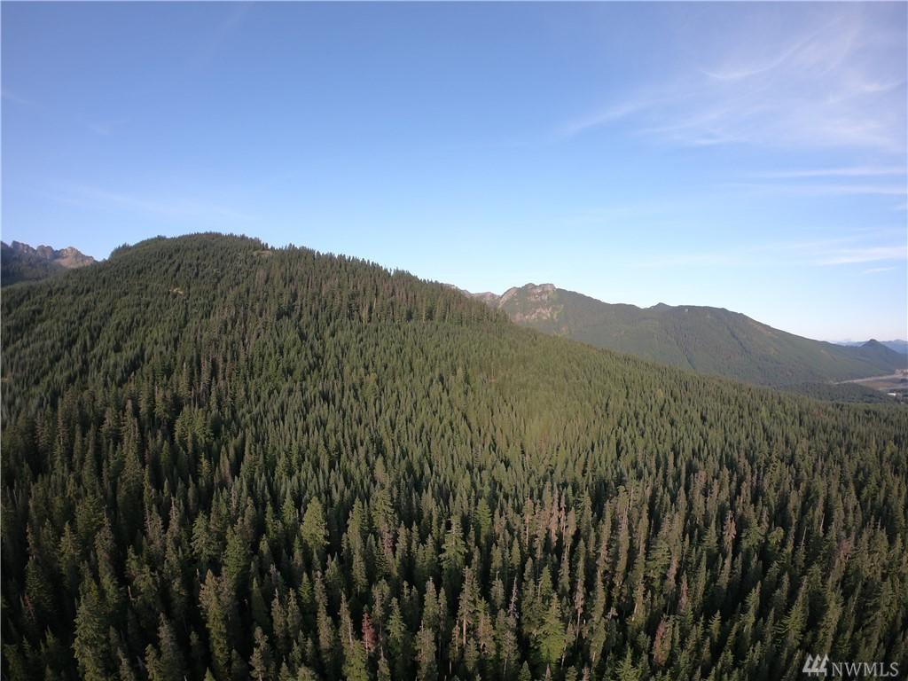 12-XX Yellowstone - Photo 1