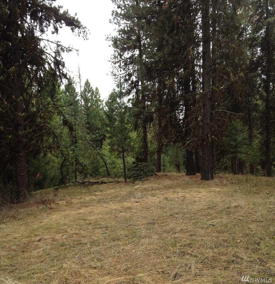 56 Stage Coach Loop Rd - Photo 1