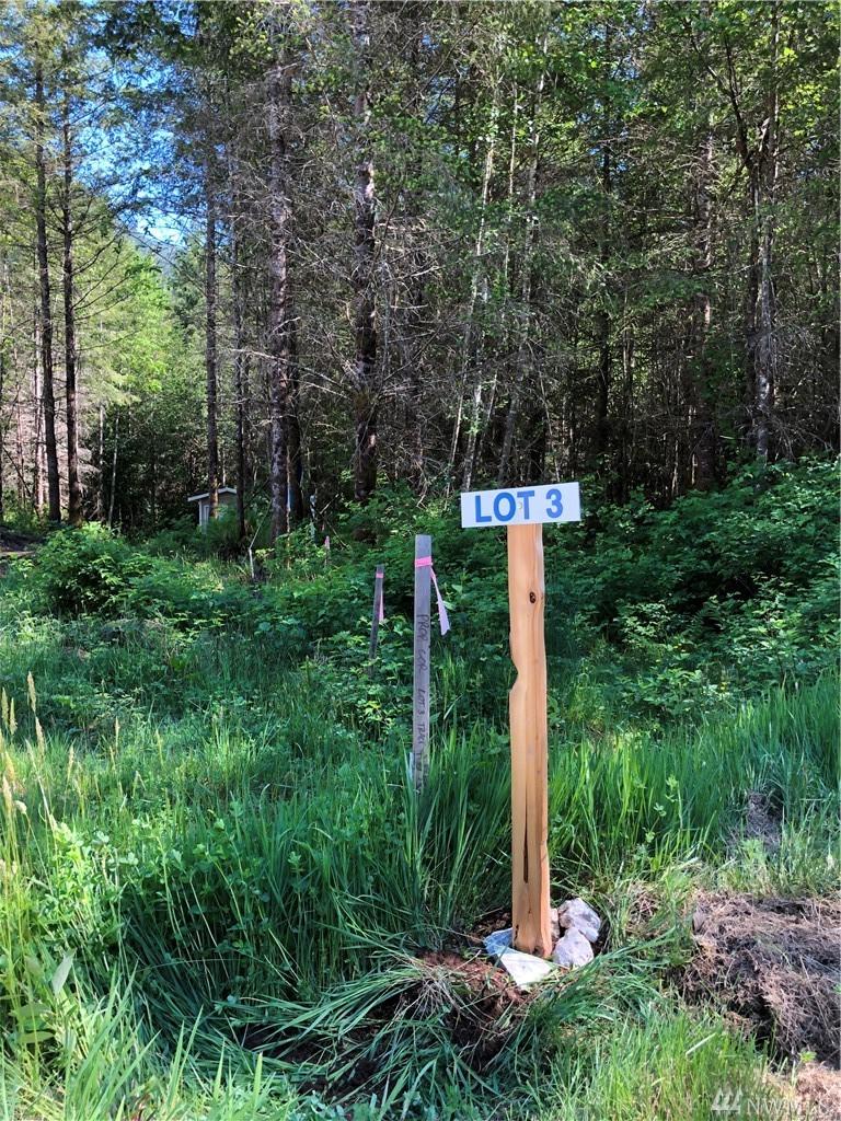 27121 Lake Riley Rd - Photo 1