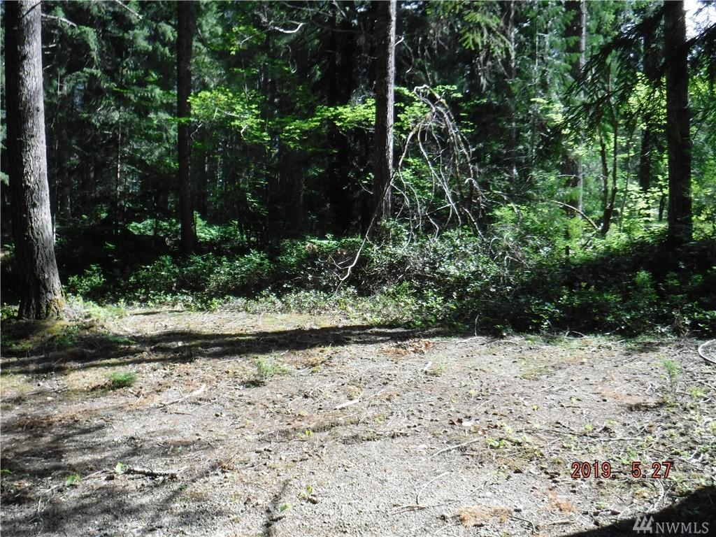1030 Potlatch Dr - Photo 1
