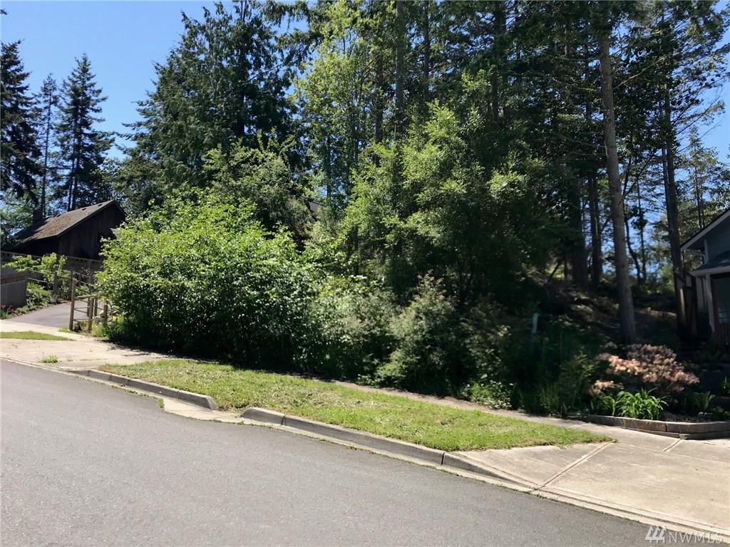2459-Lot 4 Eddy St - Photo 1