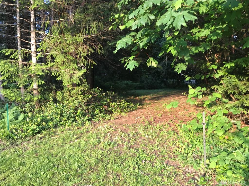 471 Wood Lane - Photo 1