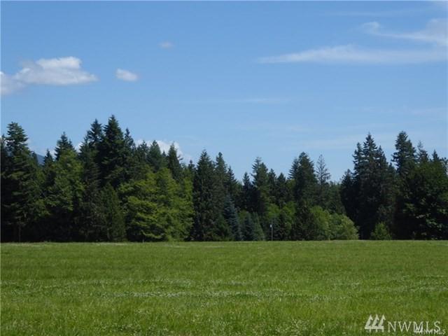 1-lot 3 296th St - Photo 1