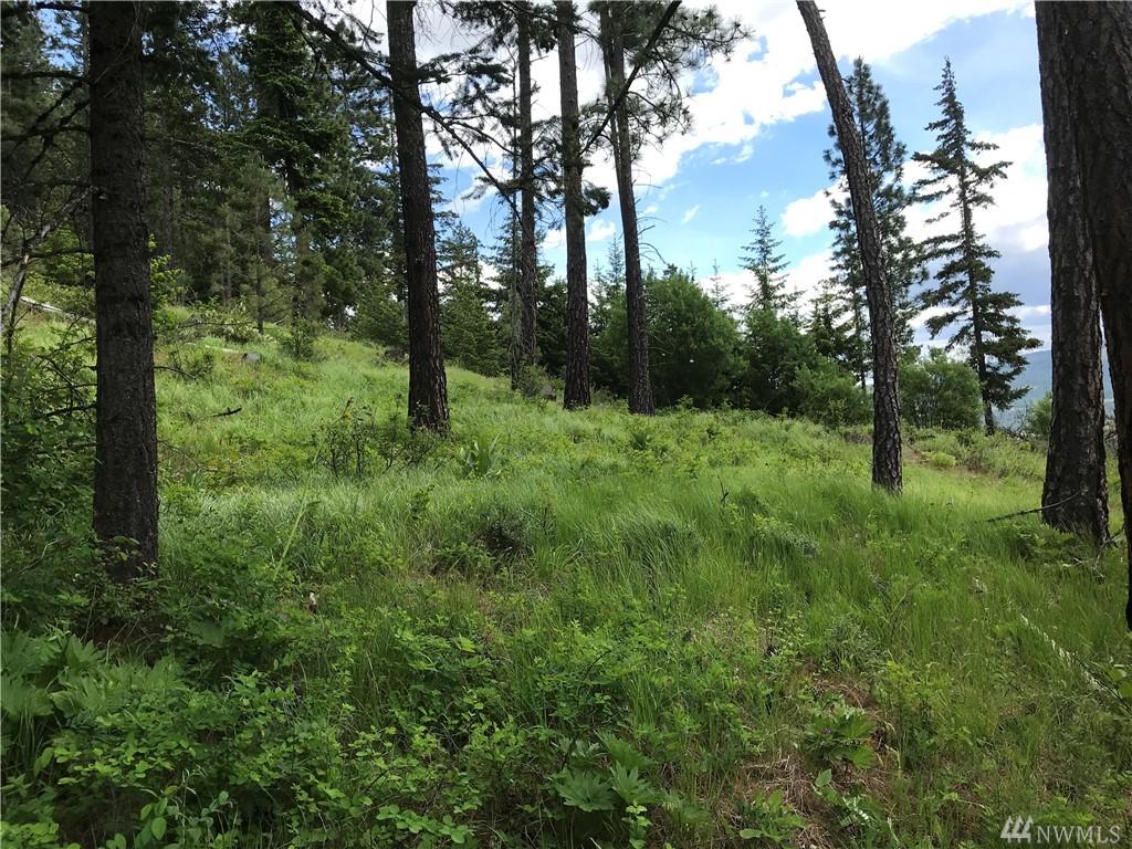 0-XXX Game Trail Rd - Photo 1