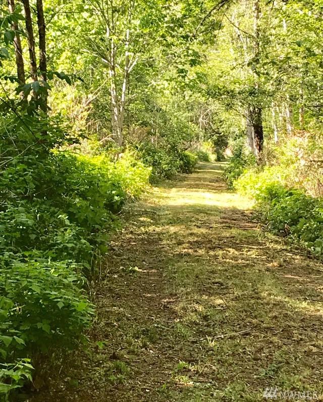 53936 Rockport Cascade Rd - Photo 1