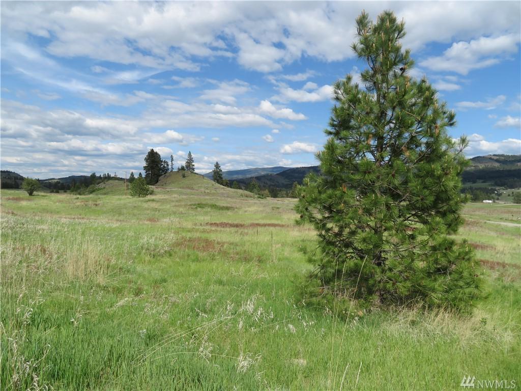 0-Lot 1 Spoke Lane - Photo 1