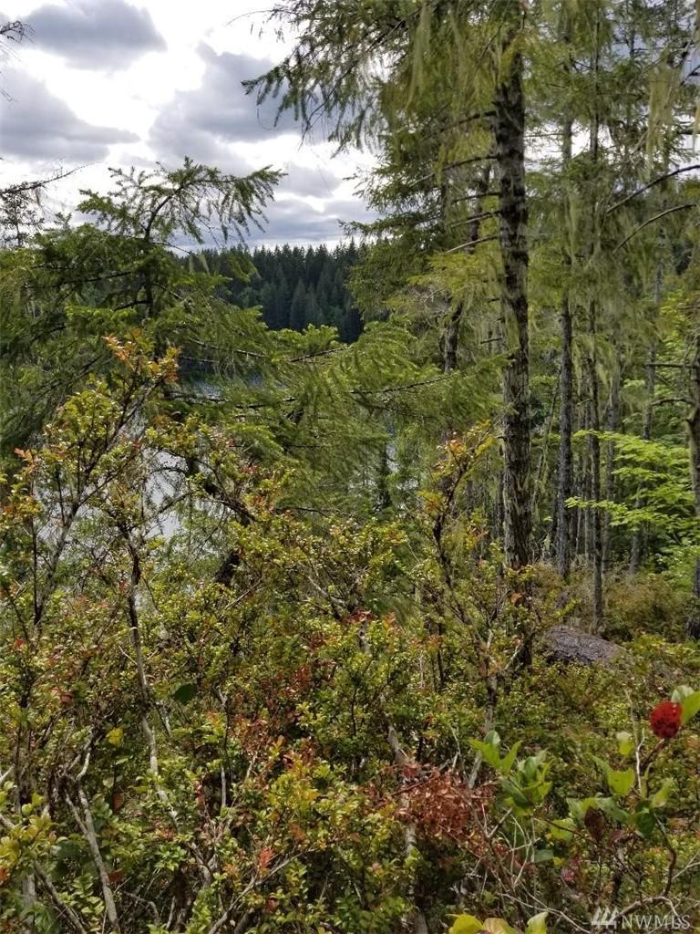 0 Kokanee Park Ct - Photo 1