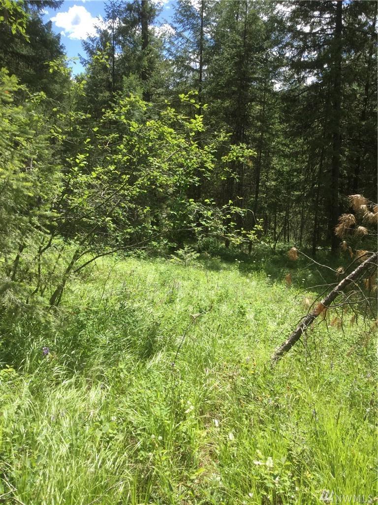 0 Lillooet Drive - Photo 1