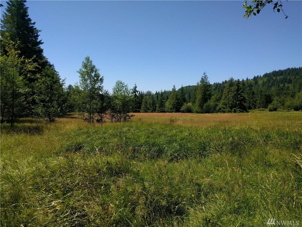 11219 Pilgrim Rd - Photo 1