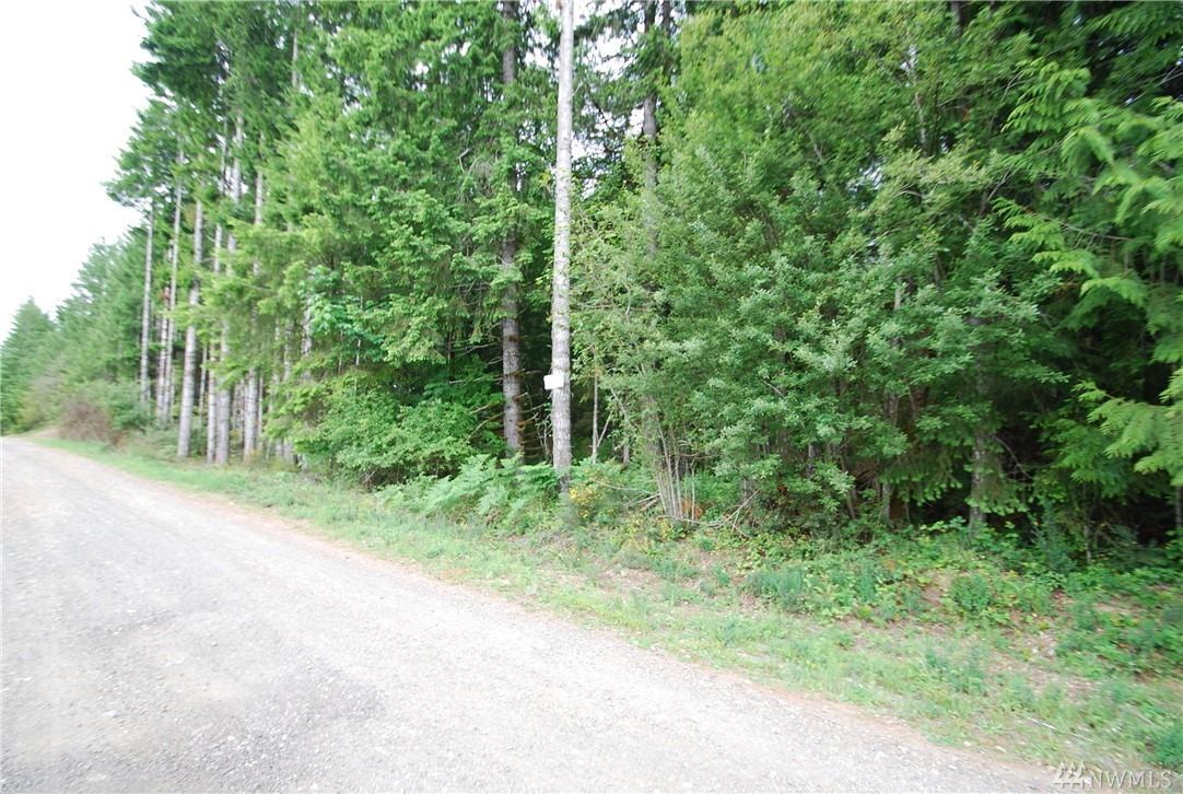 0 Bear Trap Blvd - Photo 1