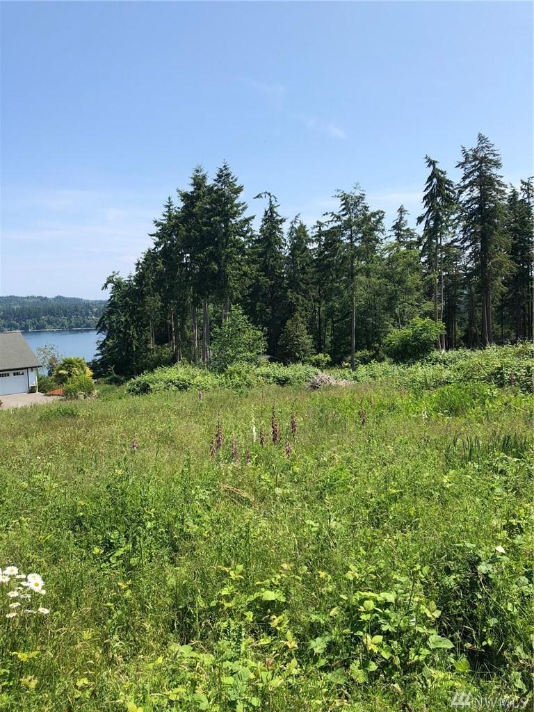 0-Lot 8 Panaview Ct - Photo 1