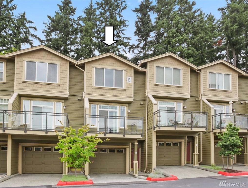 23300 Black Nugget Rd - Photo 1
