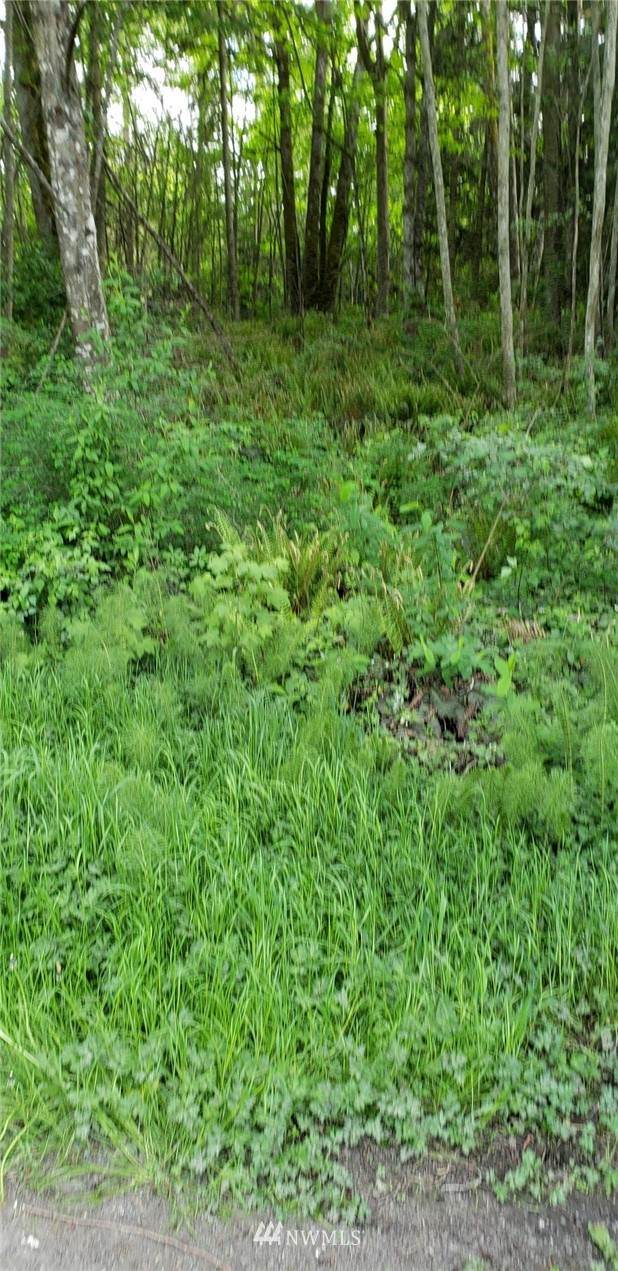43 Barr Road - Photo 1