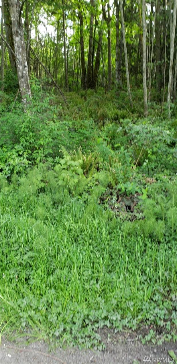 43 Barr Rd - Photo 1