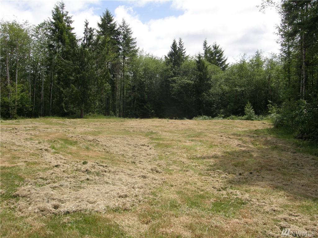 16 Fawn Lane - Photo 1
