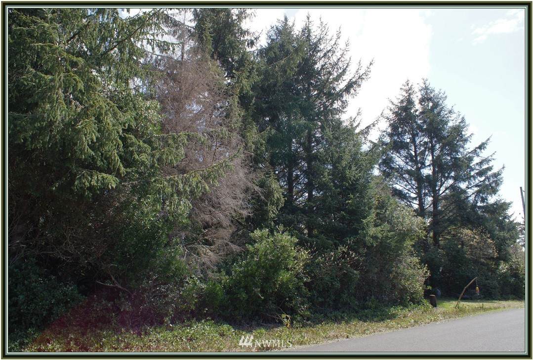 464 Orion Avenue - Photo 1