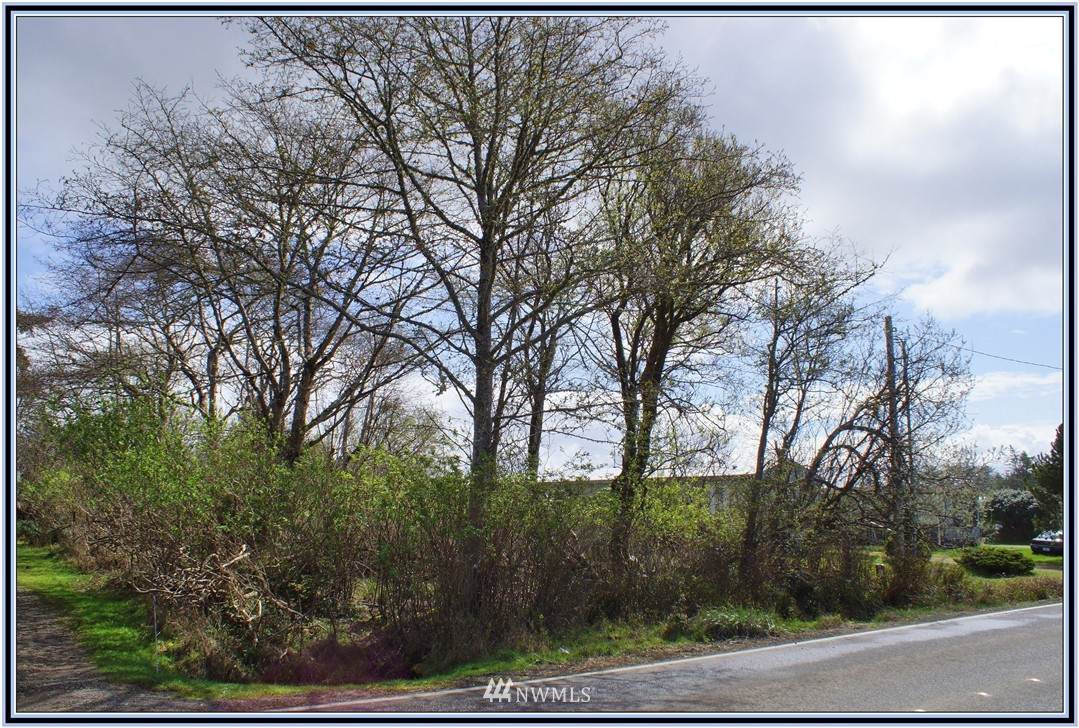 724 Rain Street - Photo 1