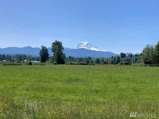 268-xx Buckley/Sumner Hwy - Photo 1