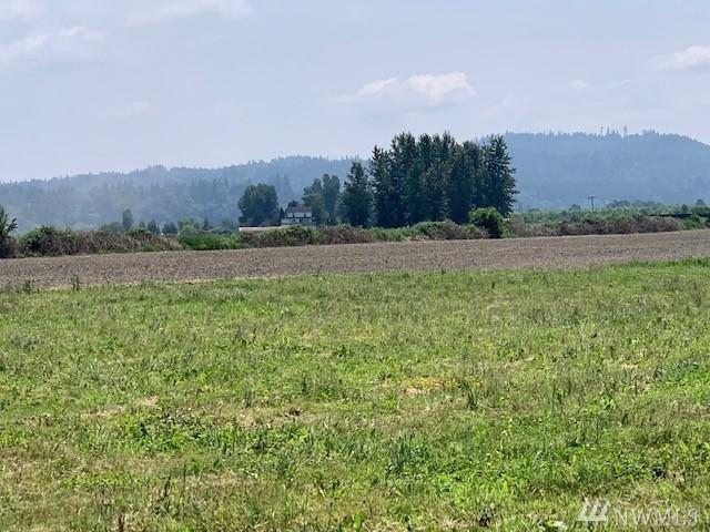 10633 Old Snohomish-Monroe Rd - Photo 1