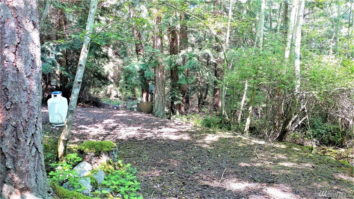 66 Lodgepole Lane - Photo 1