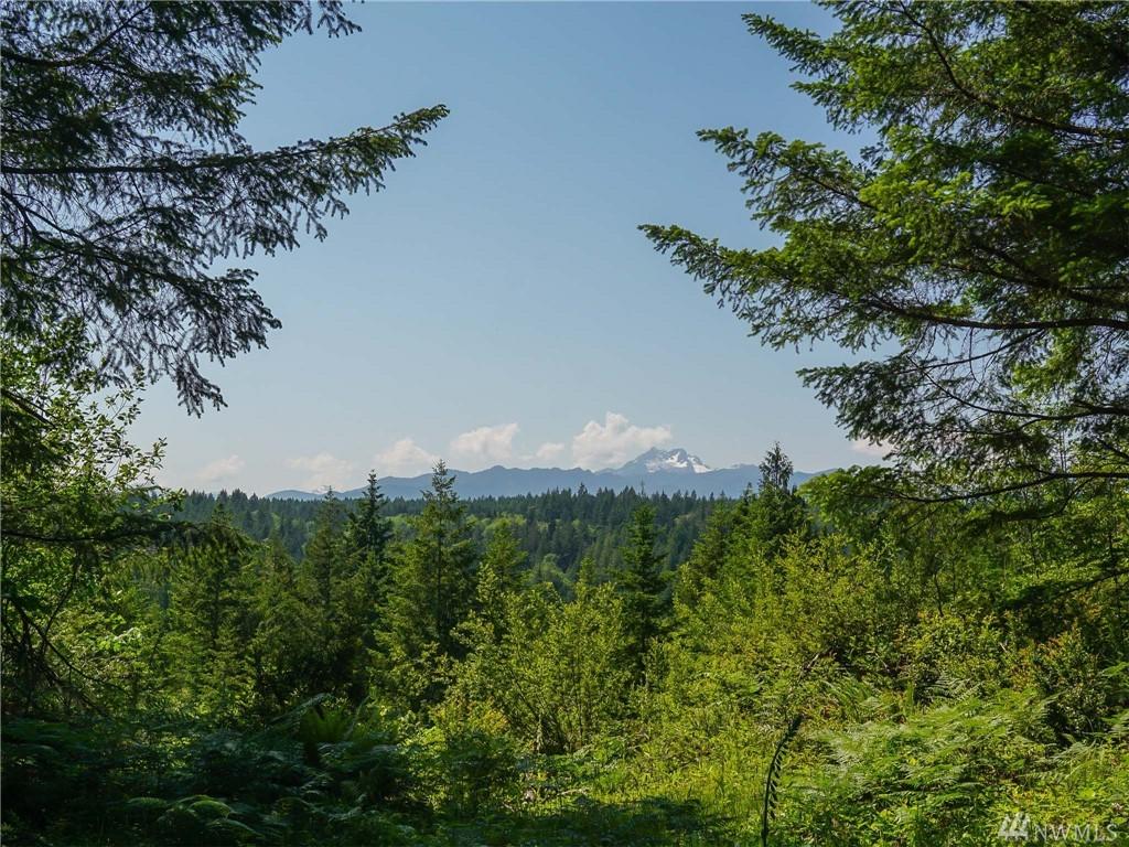 1-lot Larson Lane - Photo 1