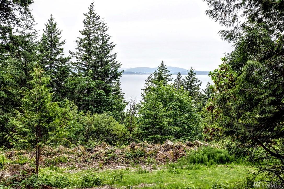 13322 Chuckanut Mountain Rd - Photo 1