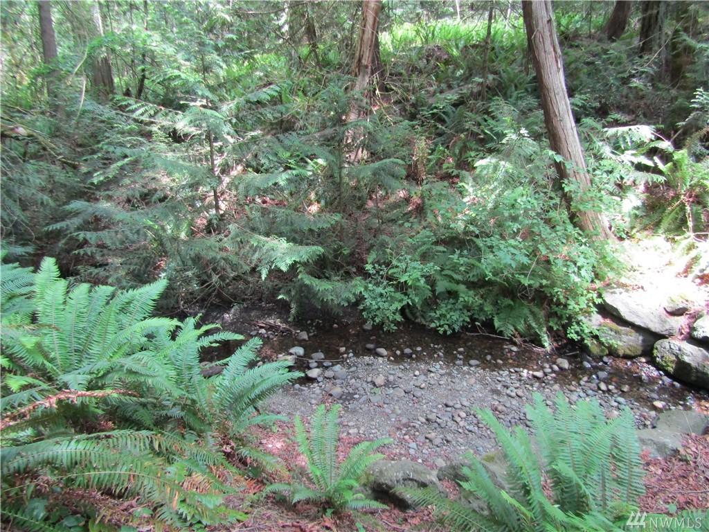 1000 Cedar - Photo 1