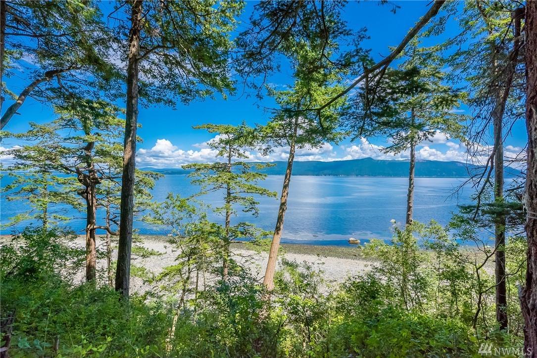 71 Eliza Island - Photo 1