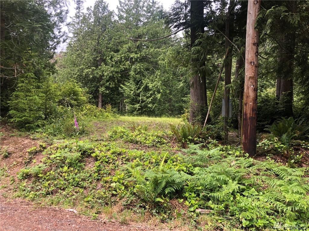 0 Misery Point Rd - Photo 1