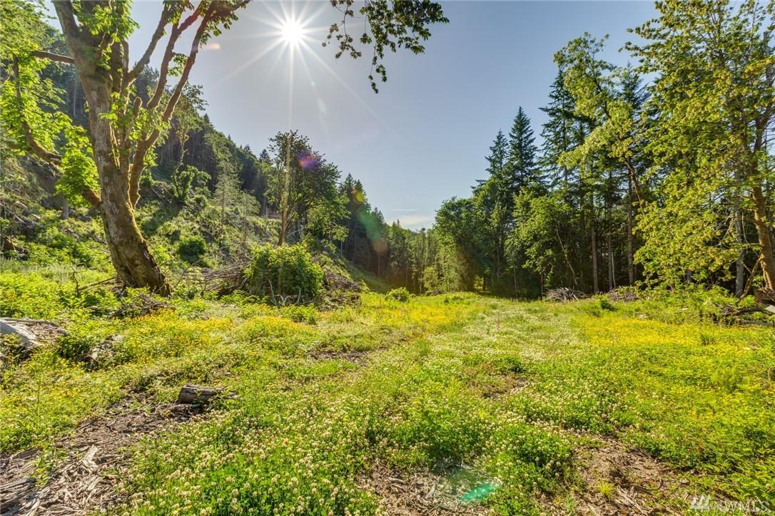0 Old Samish Way - Photo 1