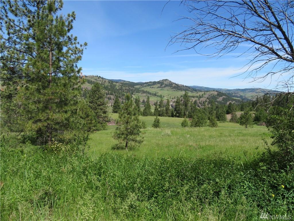 0-Lot 1 Boulder Creek Rd - Photo 1