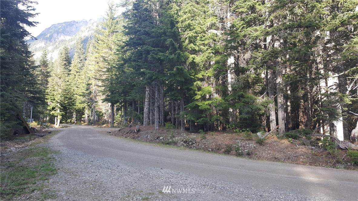 69 Alta Loop - Photo 1