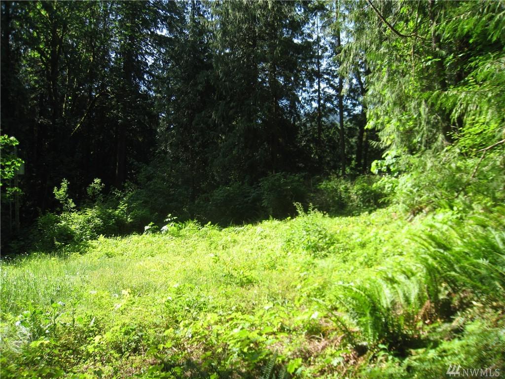 9500 Mt. Baker Hwy - Photo 1