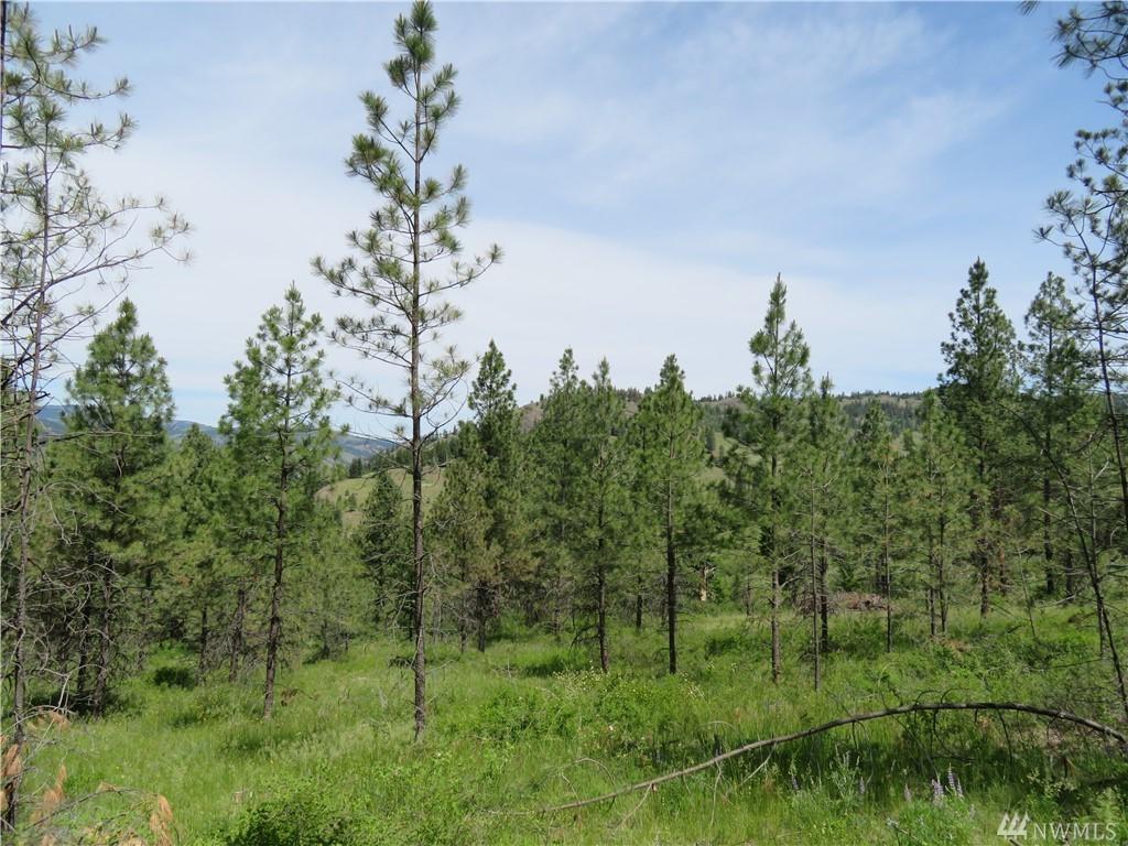 0-Lot 3 Boulder Creek Rd - Photo 1