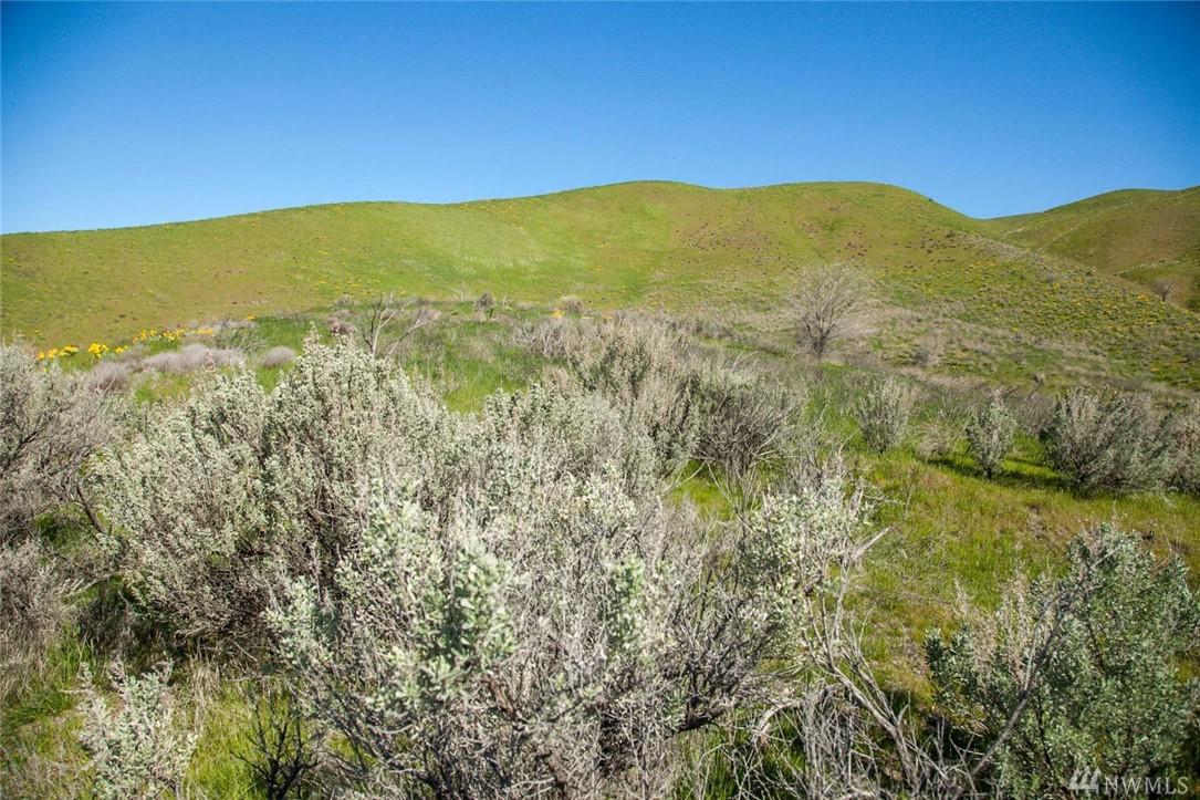 360 Diede Hills Lane - Photo 1